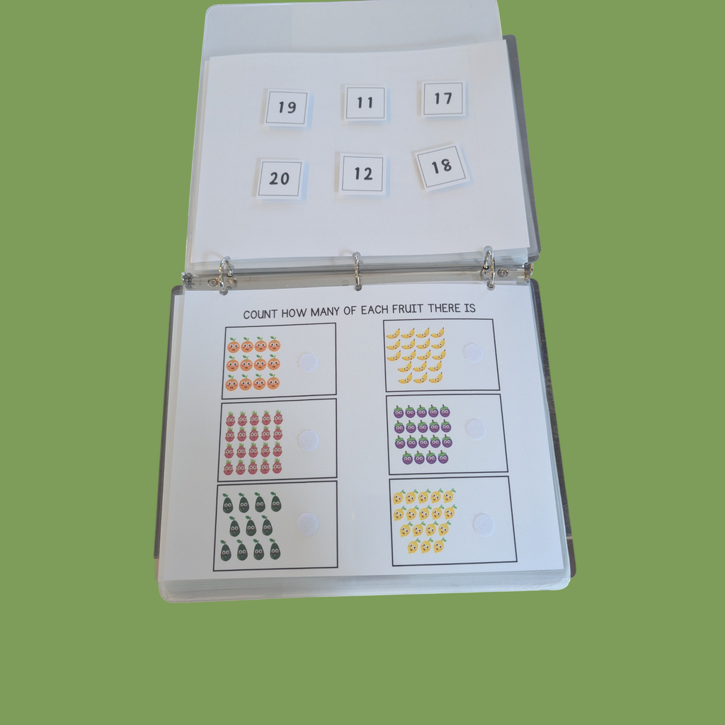 Task Binder for Ages 5-6
