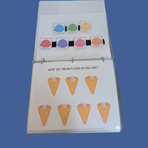 Errorless Task Binders for Children with Disabilities