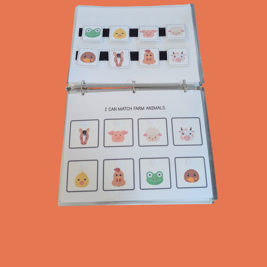 Educational Task Binders for Ages 3-4
